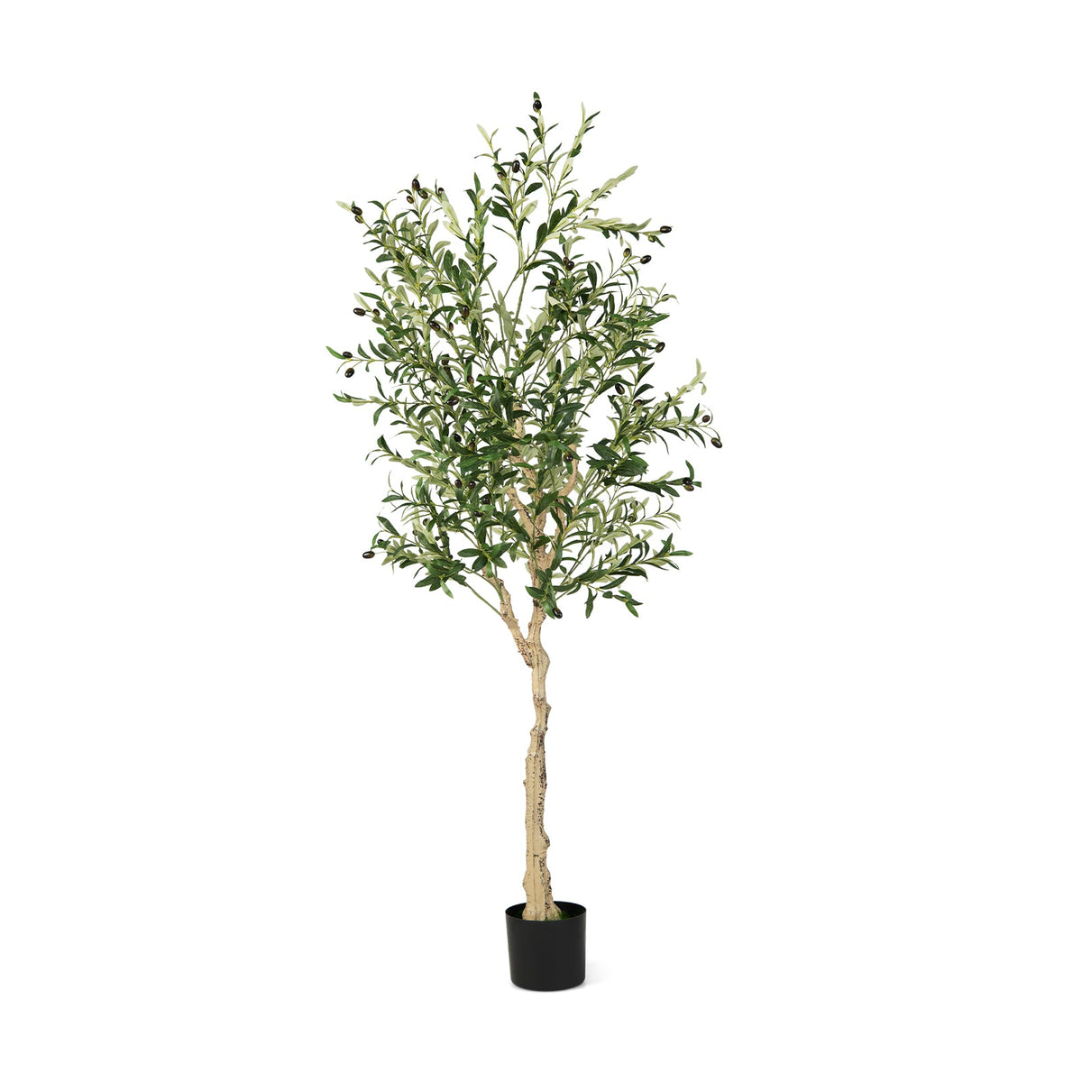 Faux Olive Tree, 6 FT – Cement Pot
