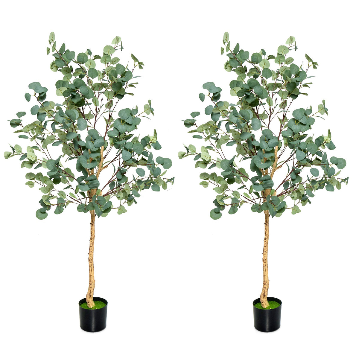 Faux Eucalyptus Tree, 5.5 FT – Silver Dollar Leaves