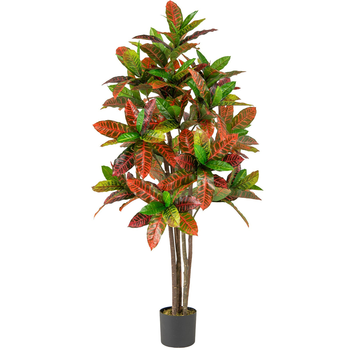 Faux Gradient Croton Plant, 5 FT – Nursery Pot