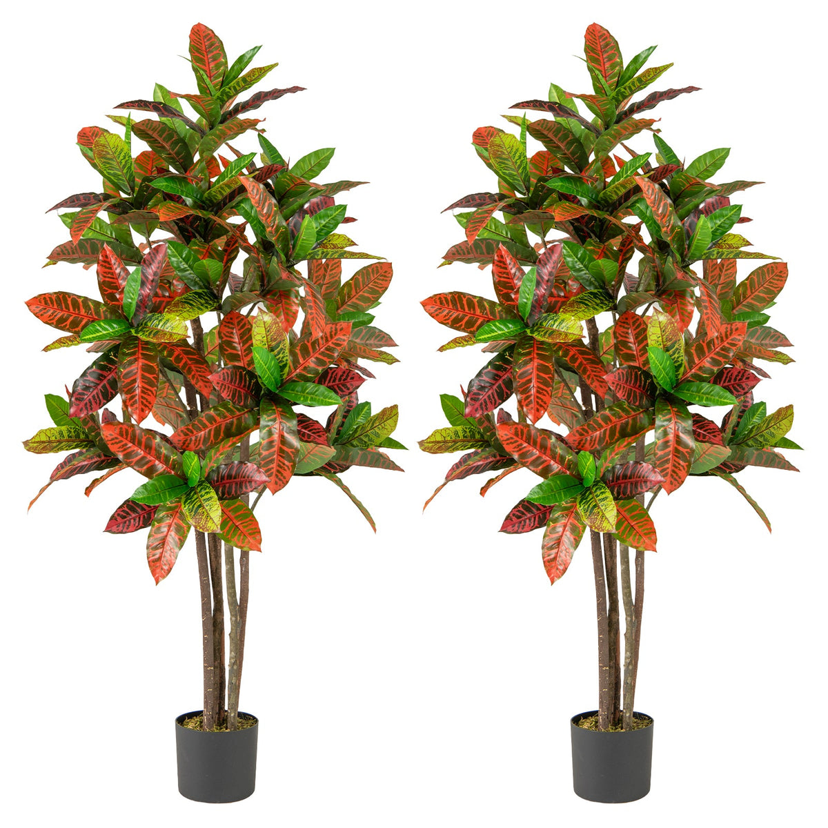 Faux Gradient Croton Plant, 5 FT – Nursery Pot