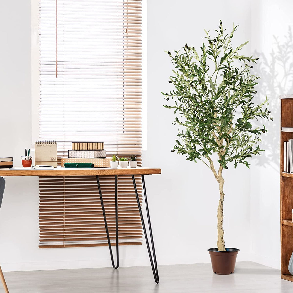 Faux Olive Tree, 6 FT – Cement Pot