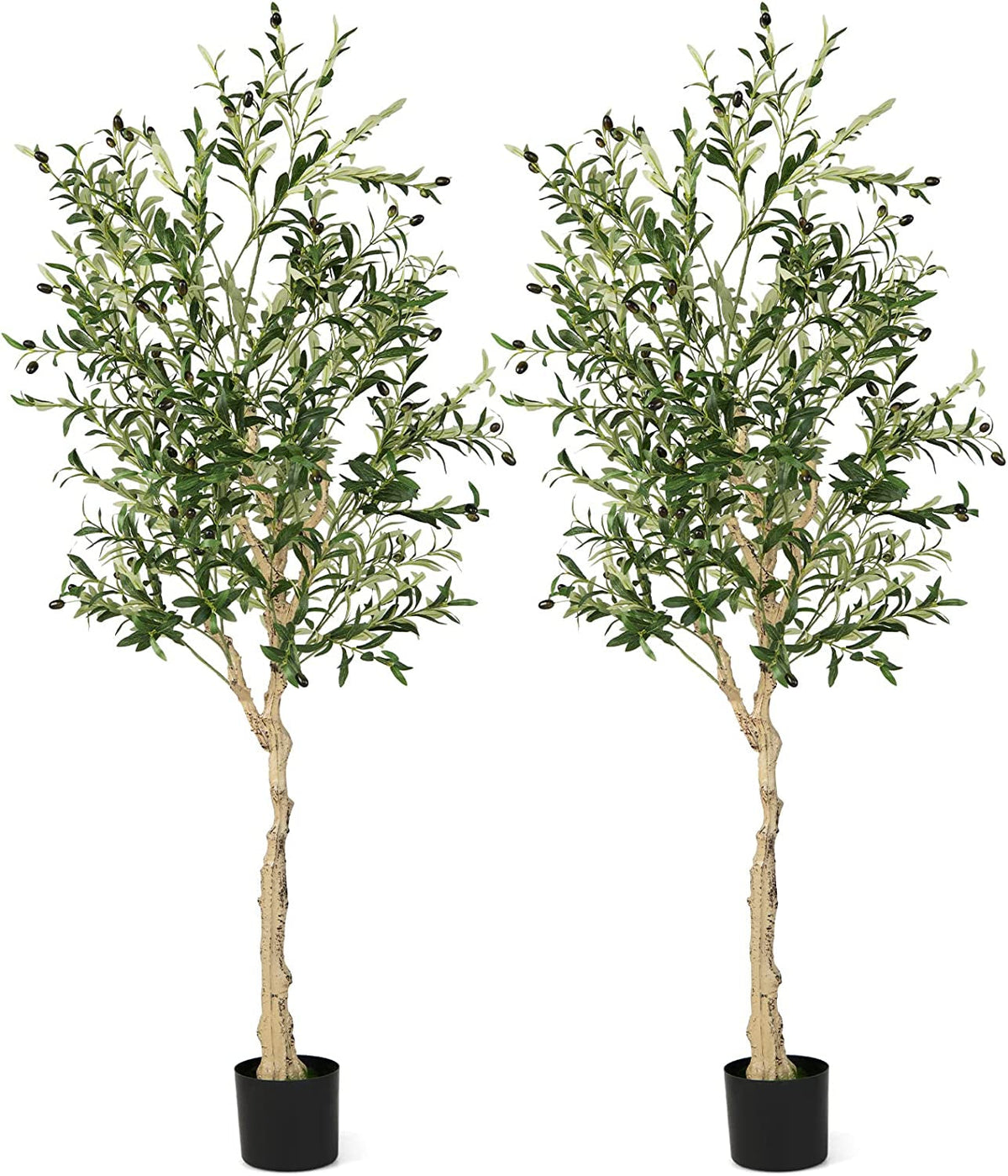 Faux Olive Tree, 6 FT – Cement Pot