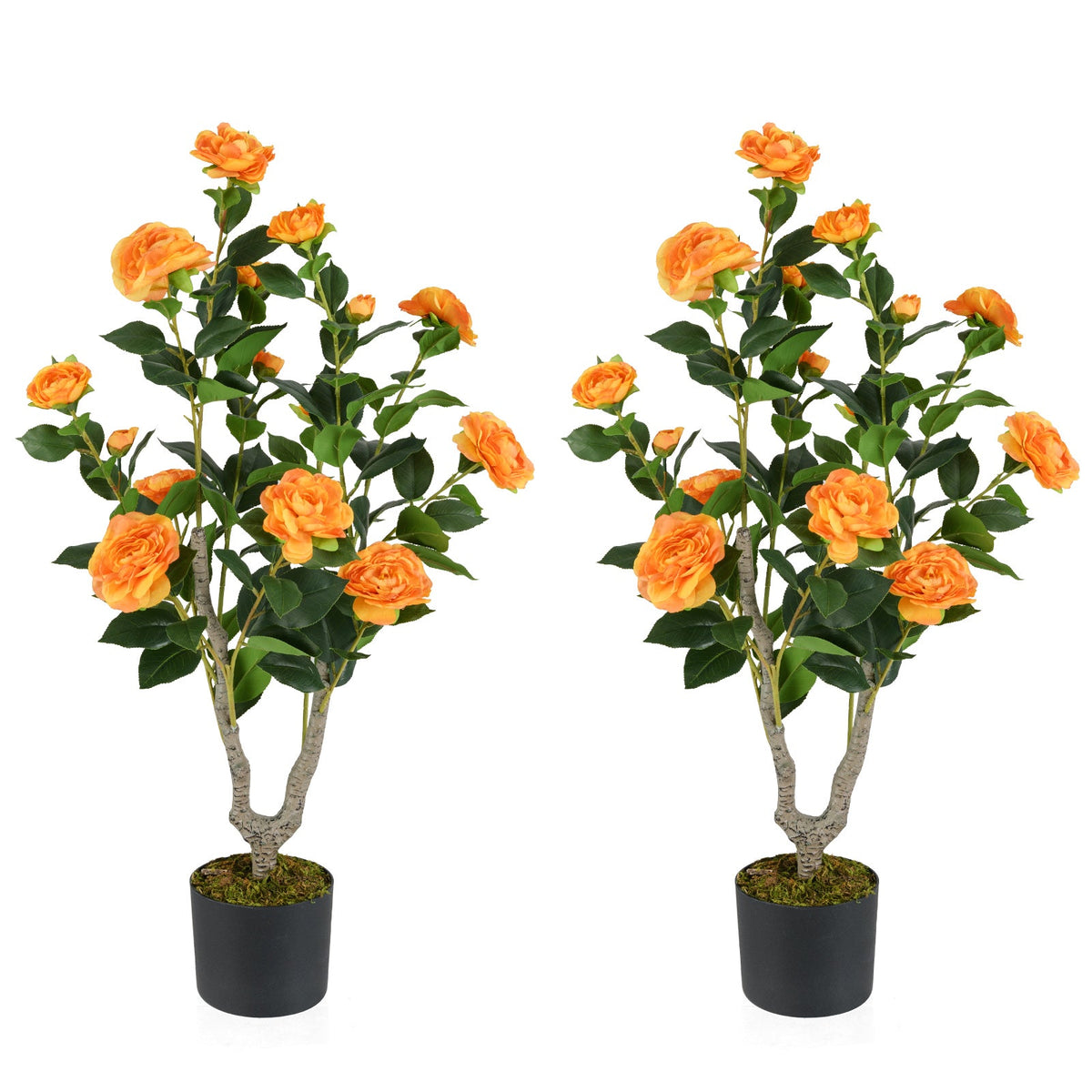 36" Artificial Camellia Tree with Blooms – Set of 2