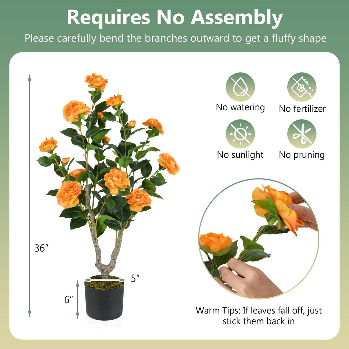 36" Artificial Camellia Tree with Blooms – Set of 2