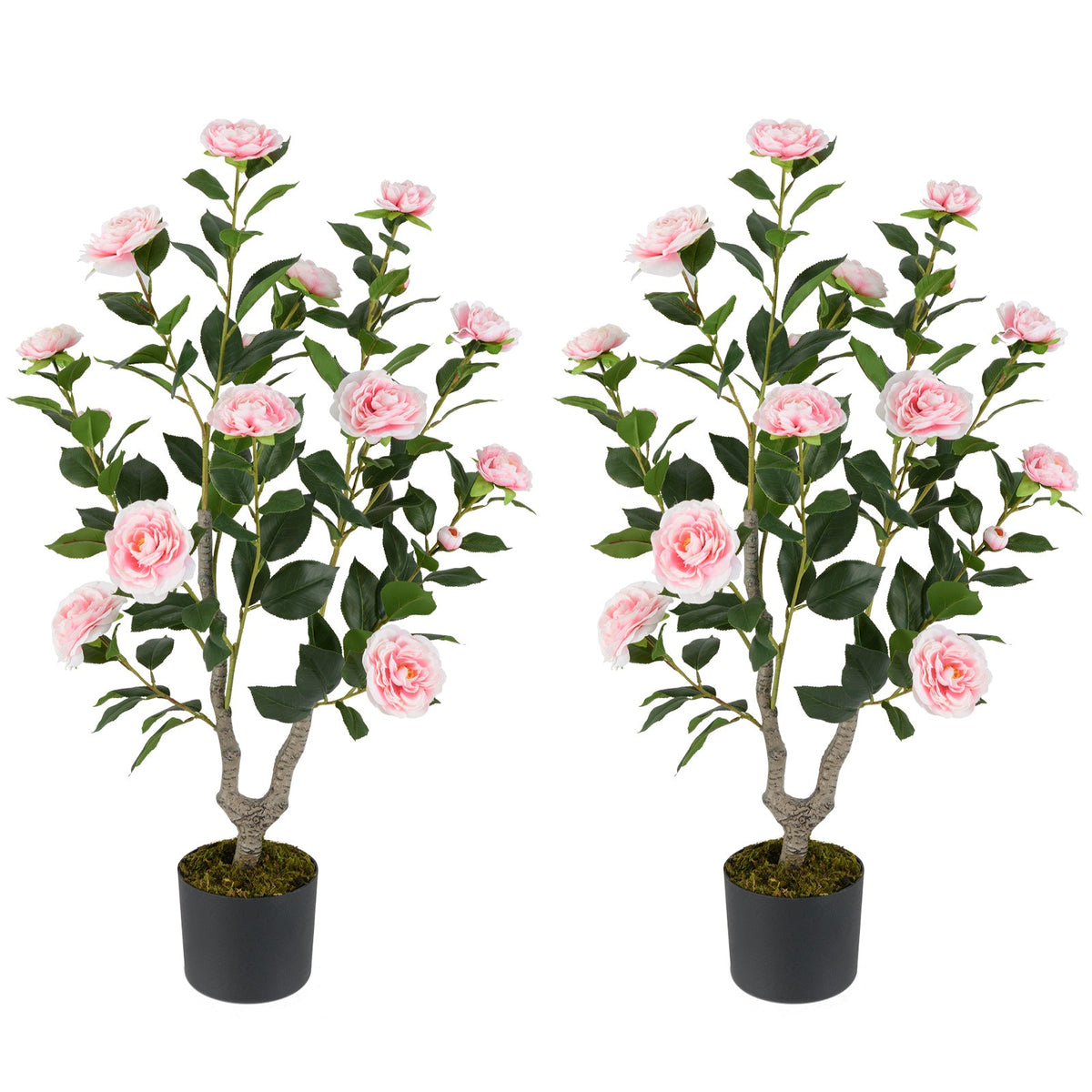 36" Artificial Camellia Tree with Blooms – Set of 2
