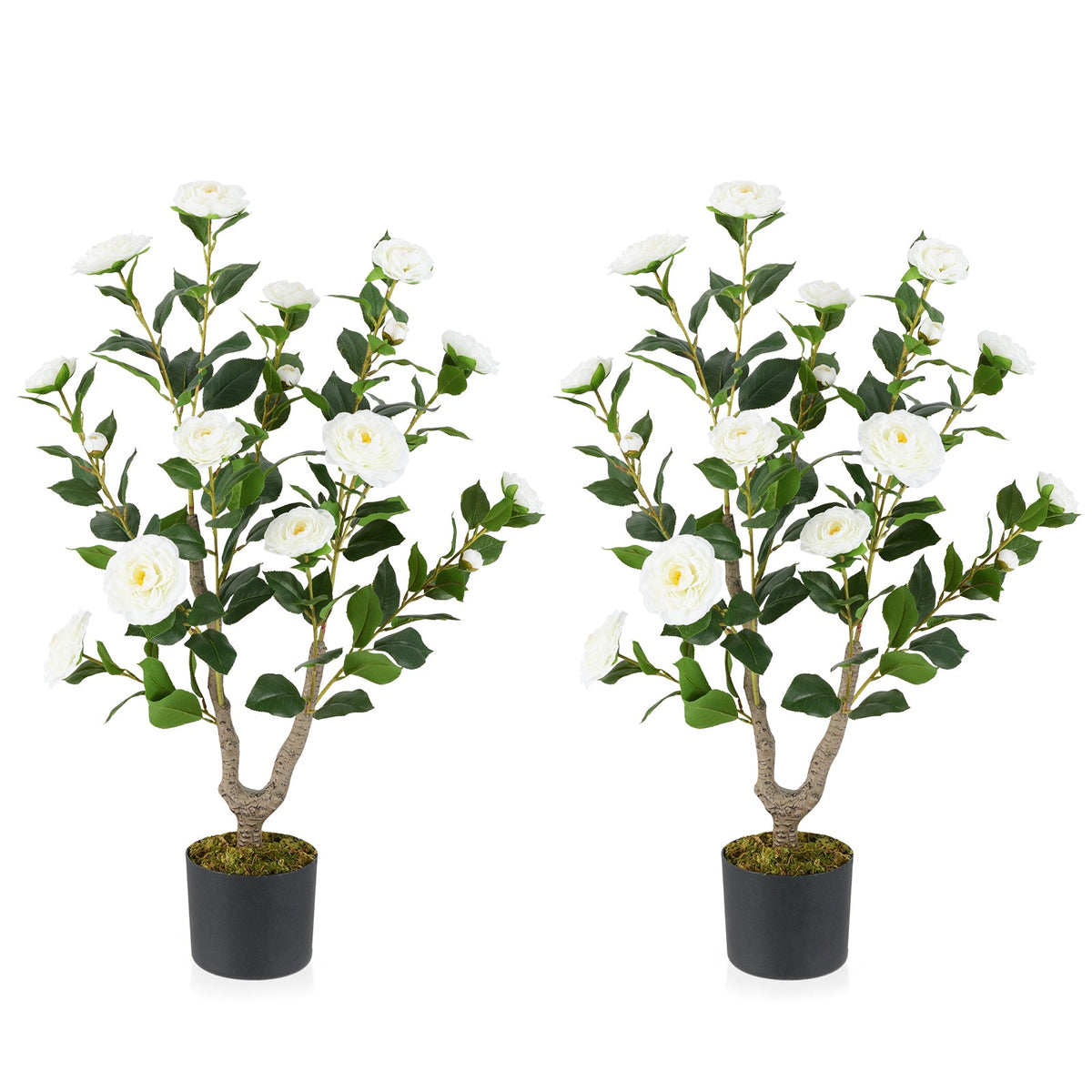36" Artificial Camellia Tree with Blooms – Set of 2