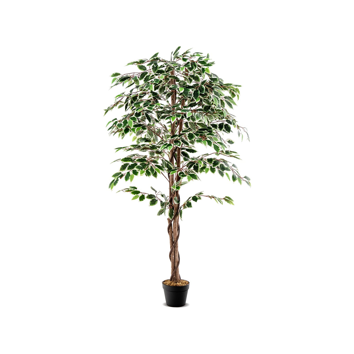 Faux Ficus Tree, 63" – Nursery Pot with Dried Moss