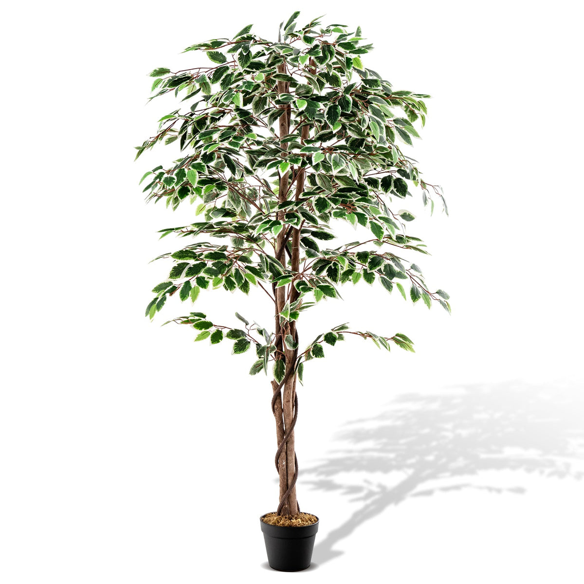 Faux Ficus Tree, 63" – Nursery Pot with Dried Moss