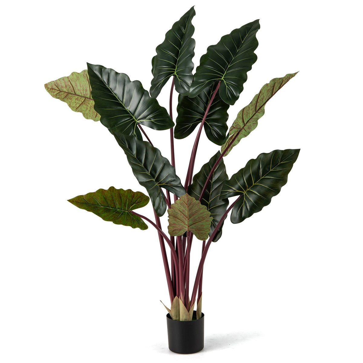 Faux Rainbow Taro Tree, 63"