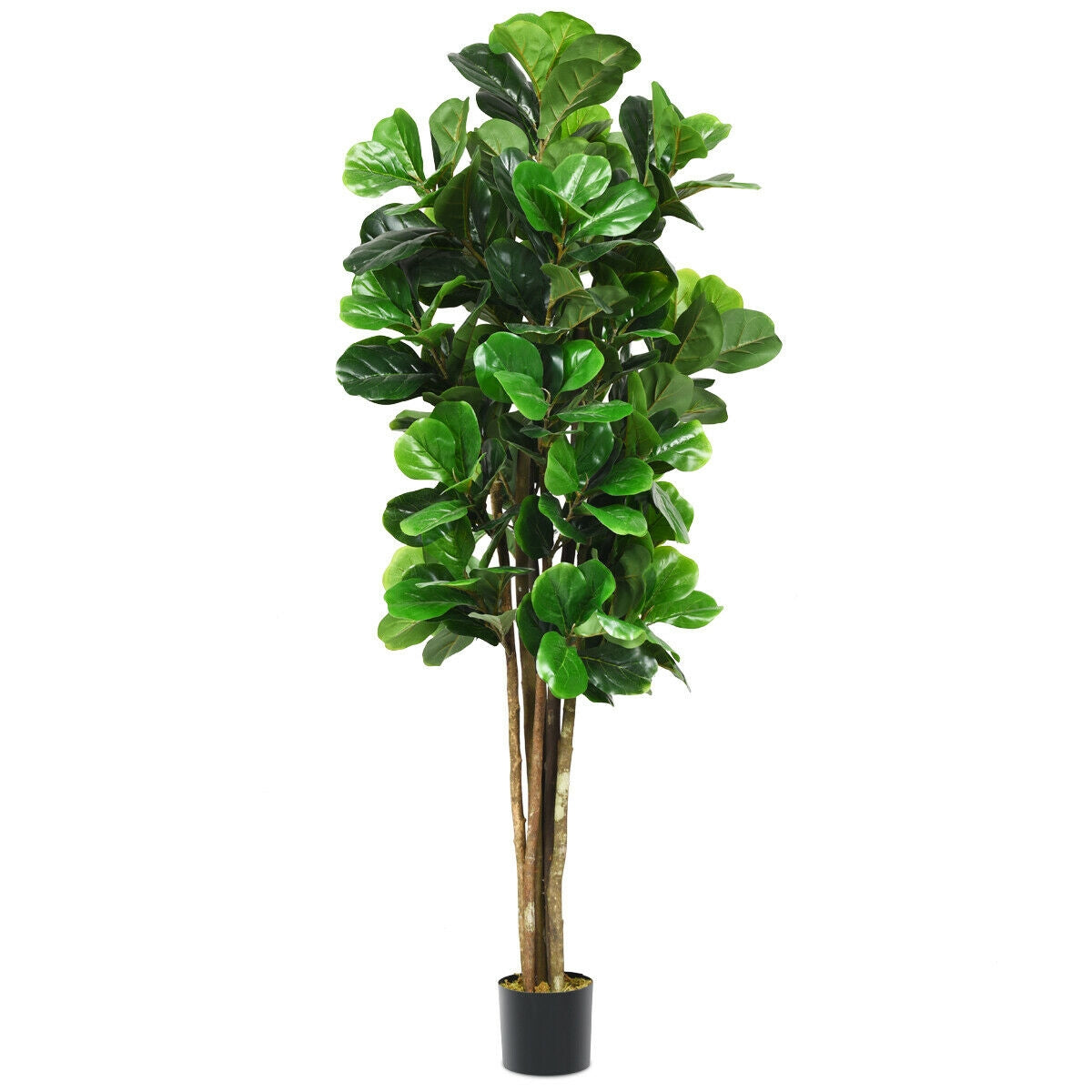 Faux Fiddle Leaf Fig Tree, 6 FT - Potted
