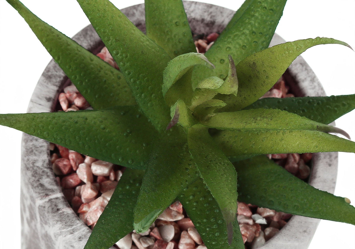 6" Tall, Artificial Plant, Succulent, Indoor, Faux, Fake, Table, Greenery, Potted, Decorative (Set of 2) - Green