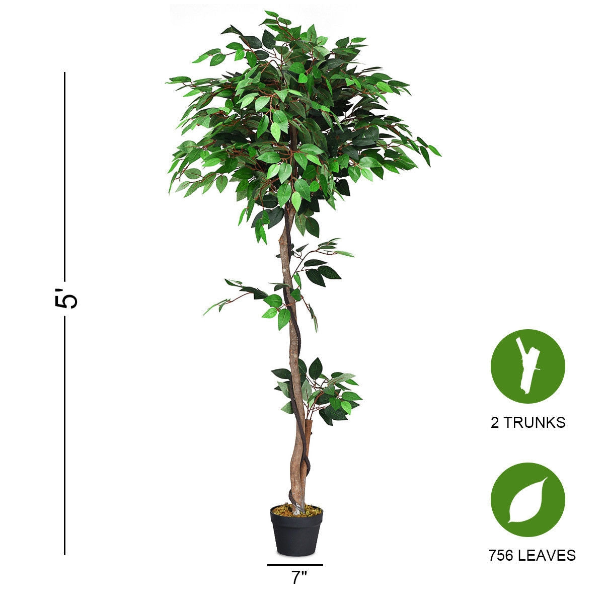 Faux Ficus Tree, 5.5 FT – Natural Wood Trunks