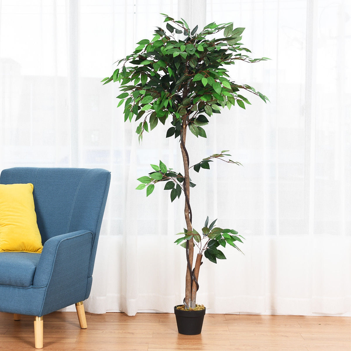 Faux Ficus Tree, 5.5 FT – Natural Wood Trunks