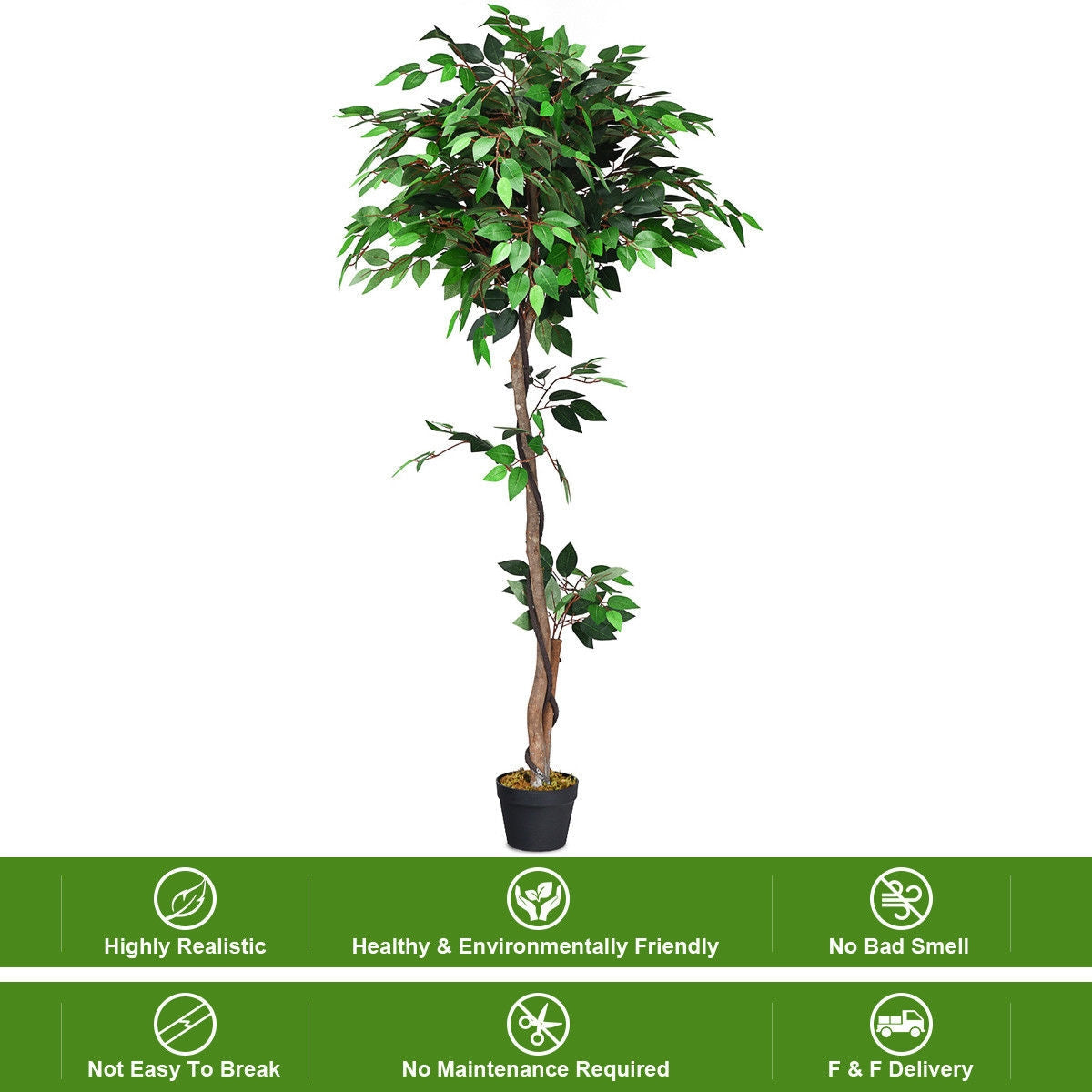 Faux Ficus Tree, 5.5 FT – Natural Wood Trunks