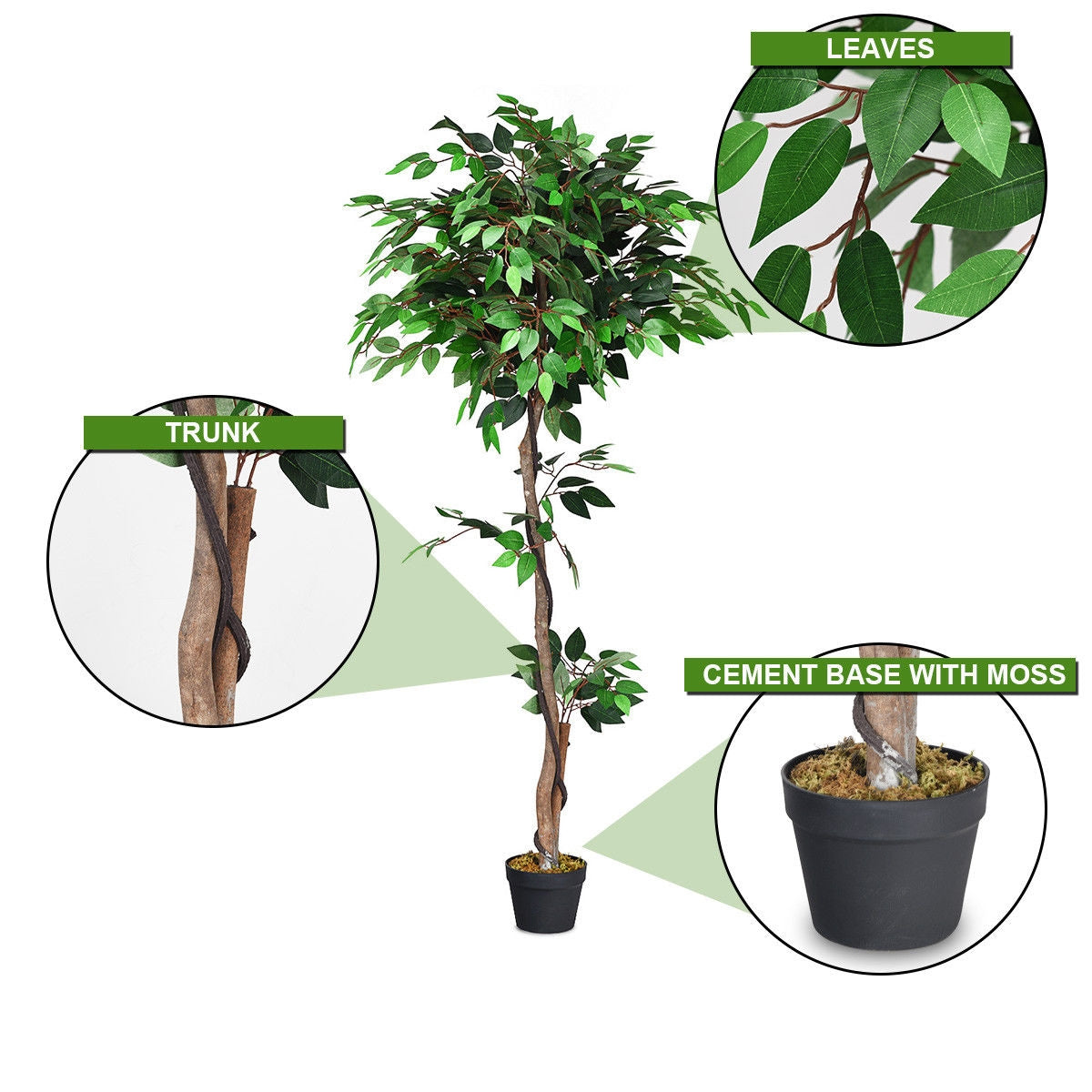 Faux Ficus Tree, 5.5 FT – Natural Wood Trunks