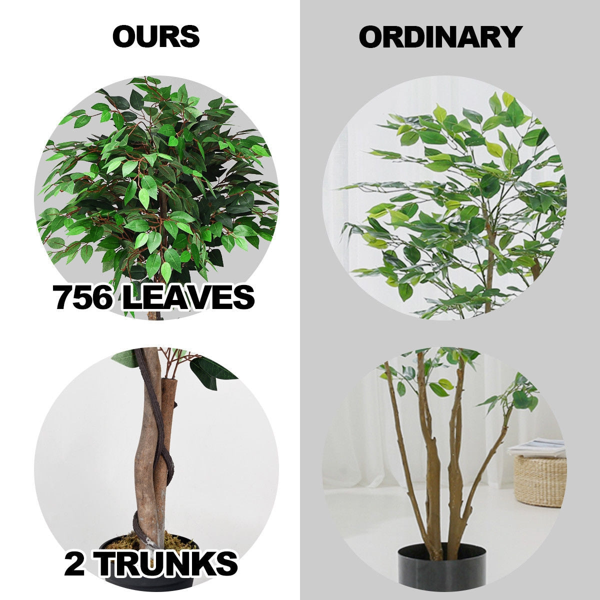 Faux Ficus Tree, 5.5 FT – Natural Wood Trunks